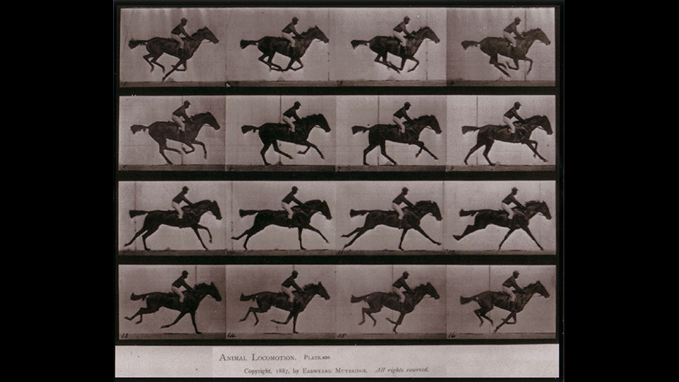  Horse in Motion (1872)