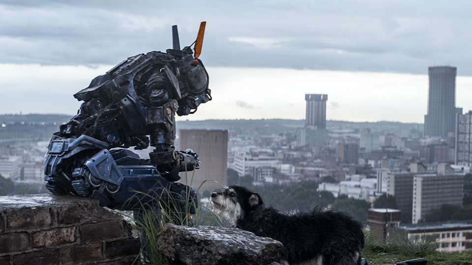 Im Actionfilm CHAPPIE geht es um den gleichnamigen Roboter, welcher als erster selbststaendig denken und fuehlen kann. Allerdings sind nicht alle Menschen davon begeistert und jagen ihn.