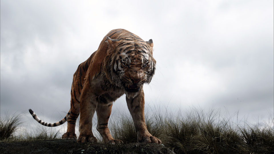 Doch dem Tiger Shir Khan gefaellt dies gar nicht, er duldet keine Menschen im Dschungel und will, dass Mogli verschwindet.