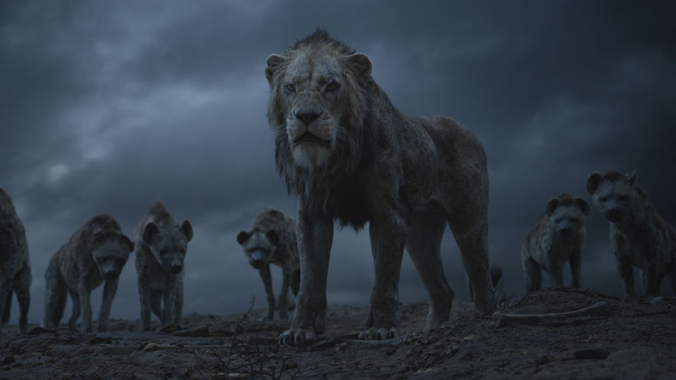 Doch Simbas böser Onkel Scar tötet seinen Vater und zwingt ihn das Königreich zu verlassen.