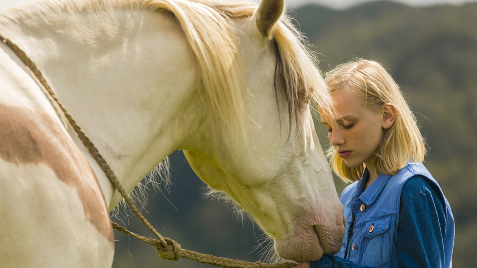 Die beliebte Gschichte um das blonde Pferdemädchen kommt endlich ins Kino.