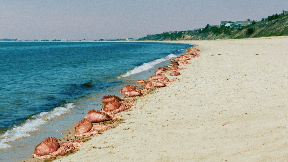 Doch schleimige Wasserkreaturen durchkreuzen die Pläne des Teeniepaars