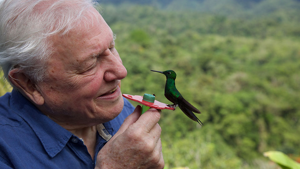 David Attenborough