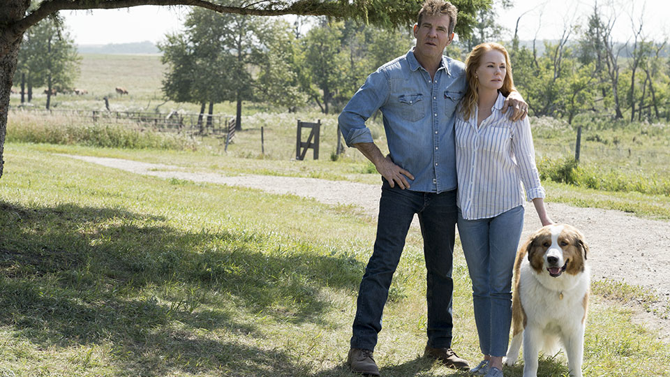 Ethan (Dennis Quaid) und siene Frau (Marg Helgenberger) mit Bailey