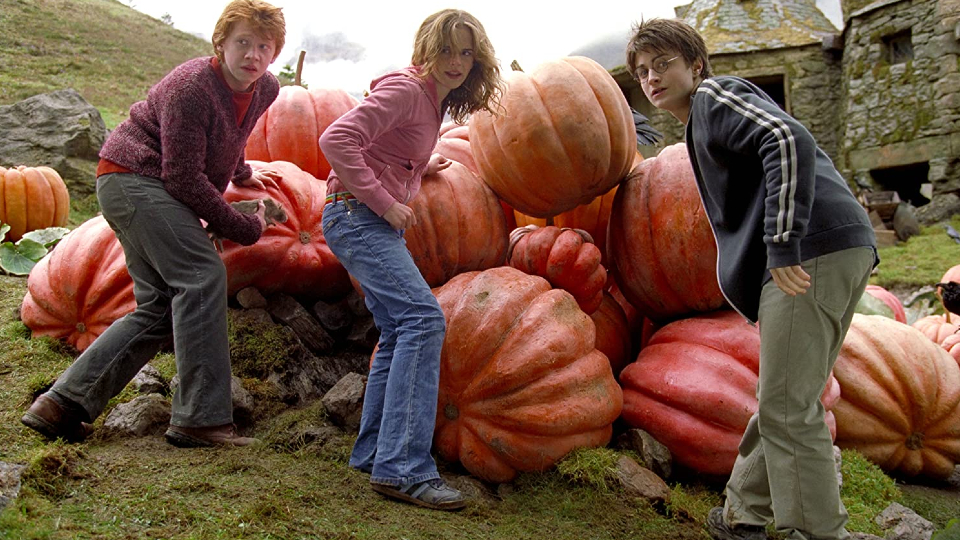 Ron (Rupert Grint), Hermine (Emma Watson) & Harry (Daniel Radcliffe)